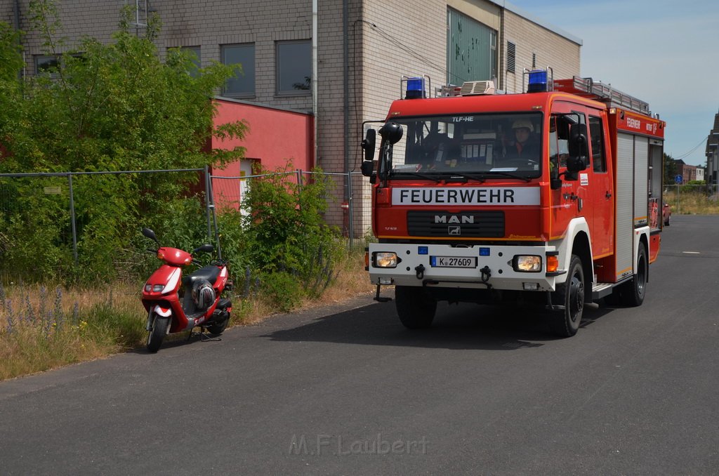 Bodenfeuer Koeln Porz Westhovener Auen P24.JPG - Miklos Laubert